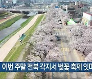이번 주말 전북 각지서 벚꽃 축제 잇따라