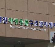 두 달째 임금체불…대전 야생동물구조센터 내홍