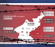 “한국 드라마·성경 봤다고 총살… 수용소 병원선 생체실험 자행”