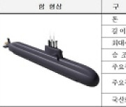 “SLBM 수직발사관 10개, 세계 최고성능 디젤잠수함 건조 본격 착수”