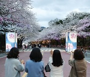 렛츠런파크 서울, 4년만에 ‘야간 벚꽃축제’ 부활