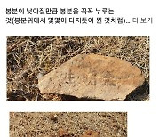 경북경찰 "민주당 이재명 대표 부모묘소, 3곳 훼손됐다"