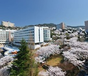 동의대, 4년 만에 봄 벚꽃축제 개최