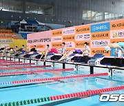 여자일반부 평영 200m 결승,'국가대표를 향한 힘찬 출발' [사진]