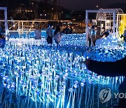 2030 부산세계박람회 유치 기원 위해 광화문에 밝힌 LED 장미