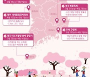 [오늘의 그래픽]2023 주요 봄꽃축제 일정