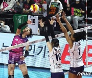 옐레나·김연경 앞세운 흥국생명, 여자 배구 통합우승까지 1승 남았다