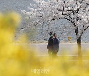 [내일날씨] 전국 맑고 초여름 날씨…수도권 미세먼지 '나쁨'