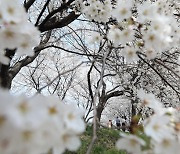 [오늘날씨] 낮 최고 '27도' 본격적인 봄…미세먼지는 '나쁨'