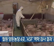 철원 양돈농장 4곳, ‘ASF’ 역학 검사 결과 ‘음성’