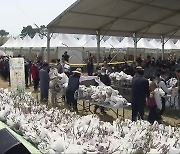 “공급 늘고 가격 안정”…옥천묘목축제 4년 만에 대면 개최