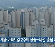 세종 아파트값 2주째 상승…대전·충남 하락