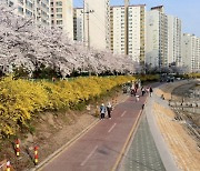 ‘우이천·망우리공원’…서울시가 추천하는 꽃길 가볼까