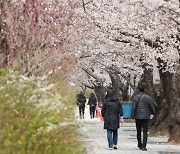 “마음 편히 벚꽃축제 즐기세요”…여의도 대중교통 늘린다