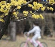 충북 일교차 속 포근한 봄 날씨…낮 최고 24도
