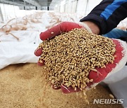 양곡관리법 개정, 대통령 거부 초읽기…들끓는 전북농심