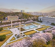 경희대 국제캠퍼스 총학생회, 4월 6~7일 벛꽃축제 연다