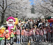 고창군 '제1회 벚꽃축제'… 화려한 '팡파르'
