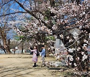 원주시, 반곡역 봄을 기념하는 시민들