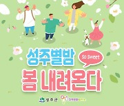 성주군 별밤내려온다 관광행사 개최
