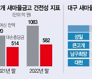 고정이하 여신 32%↑···'부실' 커지는 대구 새마을금고