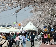 청주 무심천변 벚꽃길서 제1회 푸드트럭 축제