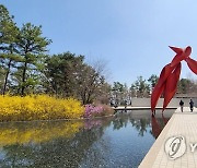 봄 정취 뽐내는 원주 뮤지엄산