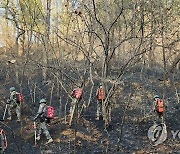 원주 산불 잔불 제거하는 36사단 장병들