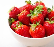 위장 보호, 다이어트 효과...딸기의 건강 효능 4