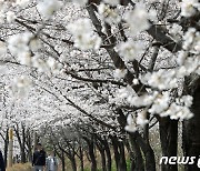 [오늘의 날씨]전북(1일, 토)…낮 최고 26도, 초미세먼지 '한때나쁨'