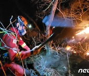 경북 군위 보현리 야산 산불, 1시간여만에 주불 진화