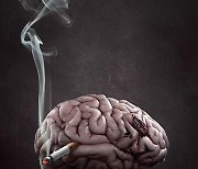 [Health 건강]  금연 후 살쪄도 뇌졸중 위험 줄어든다