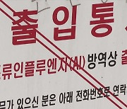 위기단계 하향 첫날 나주 오리농장서 AI 항원 검출…고병원성 확인 중