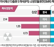 SMR 경쟁력 中·日에도 밀려…'원전 강국' 韓, 뿌리부터 흔들