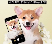 갤럭시냥즈·명태드레서?…삼성, 이색 마케팅 '폭발적 반응'
