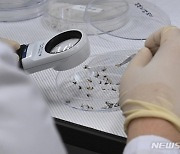 울산보건환경연구원, 감염병 매개 모기 감시 강화