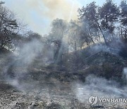 '건조특보' 춘천에 산불…헬기 3대 투입