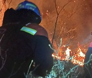 전북 전주 야산서 화재…1시간 만에 진화 완료