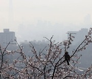 [내일날씨] 미세먼지 ‘나쁨’… 낮엔 따뜻해요