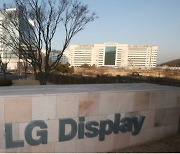 LGD, 대형 OLED 투자 기한 5년 연장 결정…투자 효율화 총력