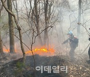 대전·충남 곳곳서 동시다발 산불…강풍에 야간산불 이어져