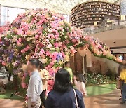 [영상구성] 꽃과 시가 함께하는…'봄의 낭만'