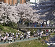 2023 은평 벚꽃 마라톤 대회