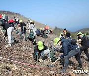 유한킴벌리, 동해 산불지역에 신혼부부와 나무심기 행사 개최