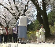 [날씨] 벚꽃 축제 '북적'...내일까지 고온 건조