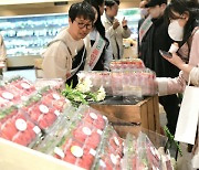 홍성 딸기 '홍희', 현대백화점서 프리미엄 시장 노려