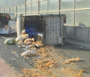 음식물쓰레기로 초토화된 경부고속도로…'차량 정체'