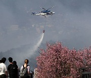 [속보] 서울 인왕산 산불, 소방 대응 1단계로 하향 조정