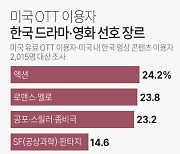 미국 OTT 이용자들, K콘텐츠에 빠졌다