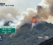 [특보] ‘인왕산·홍성 산불’ 시청자가 보내 준 상황
